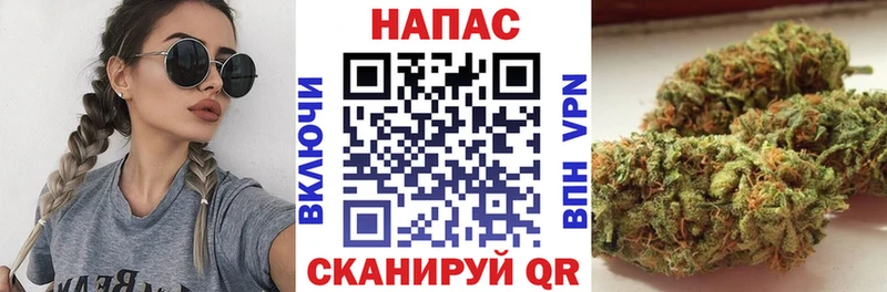 Альфа ПВП Кораблино