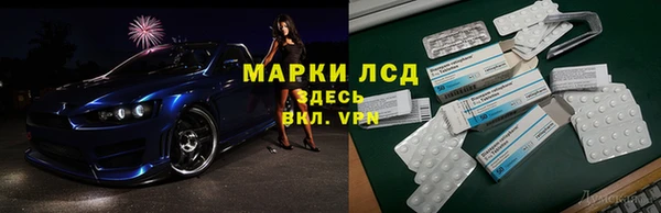 шишки Новодвинск