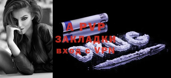 шишки Новодвинск