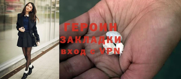 шишки Новодвинск