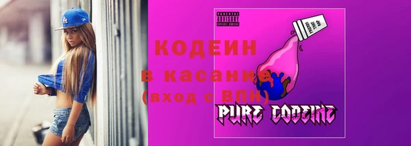 шишки Новодвинск