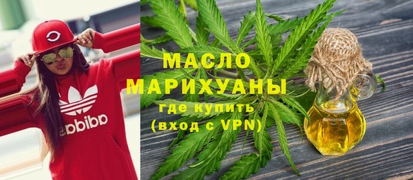 шишки Новодвинск
