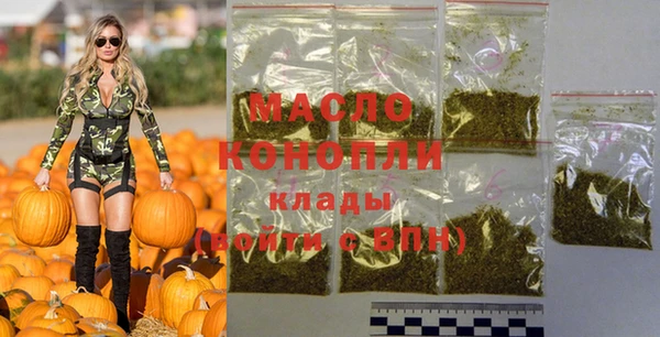 шишки Новодвинск