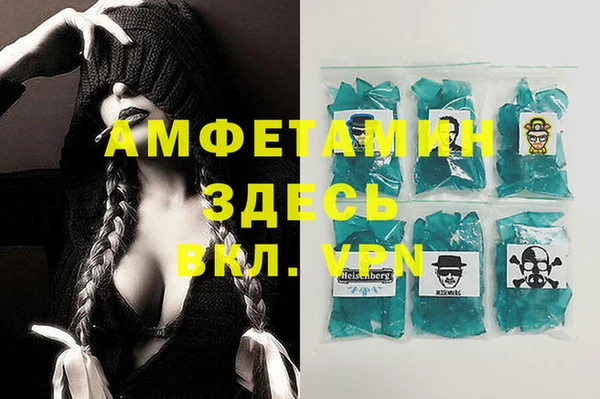 шишки Новодвинск