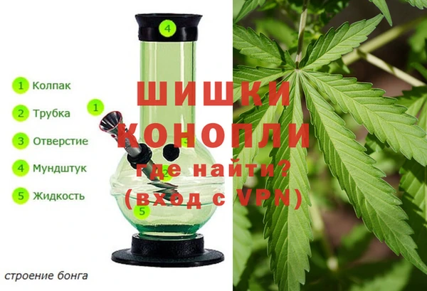 mdma Новозыбков