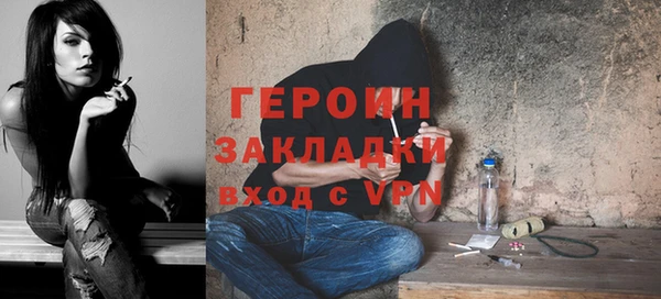 шишки Новодвинск