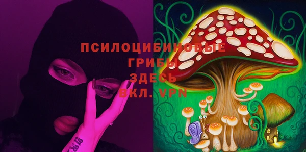 mdma Новозыбков